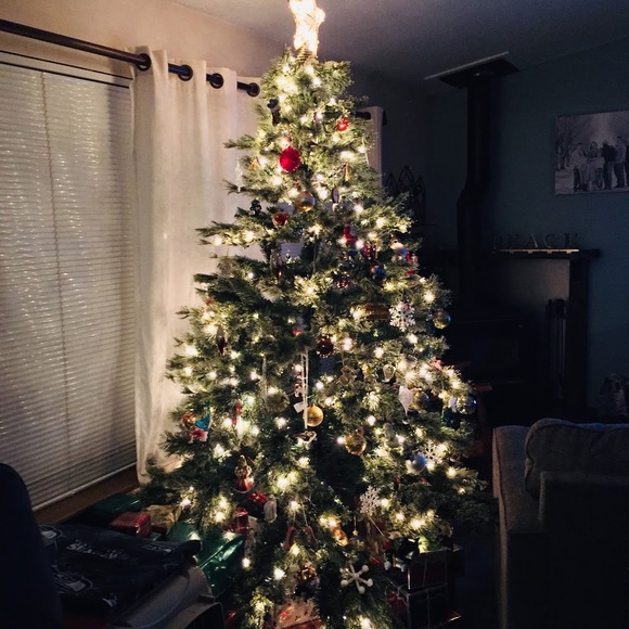 Meet your Posher, Laney - Picture 1 of 1